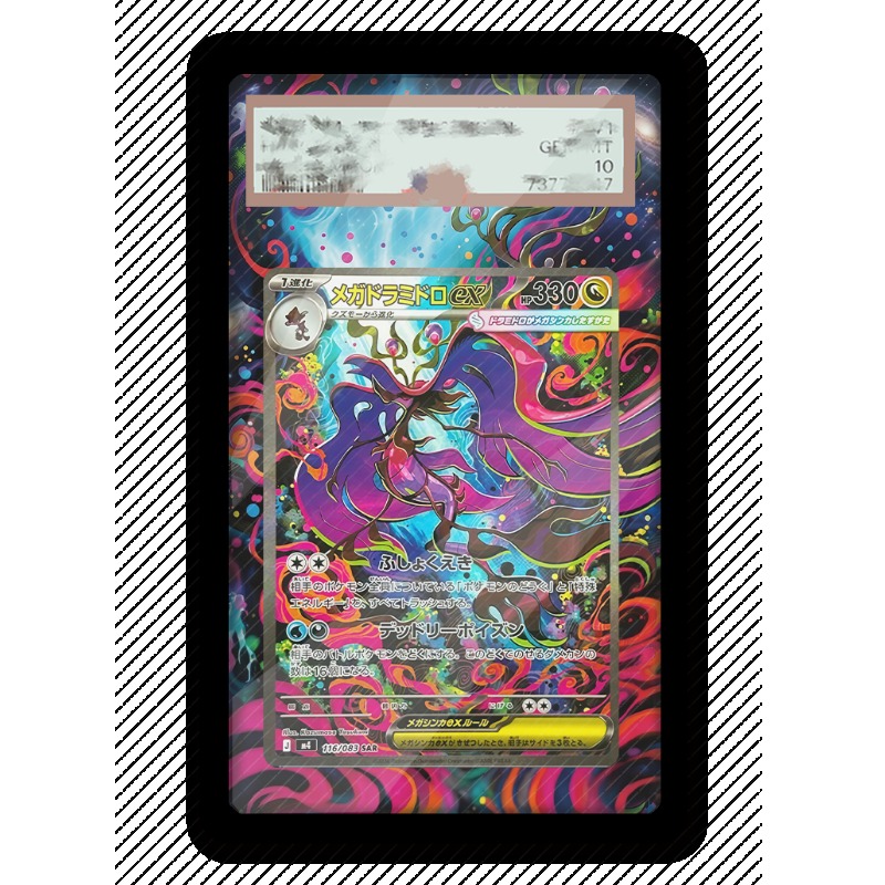 Art Display for Pokemon Dragal - Anime Merchandise From Japan ulasan dan harga